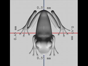 Green Frog Ready to Print 3D-printmodel