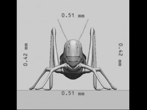 Grasshopper Insect Animal Ready to Print Model do druku 3D