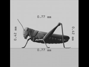 Grasshopper Insect Animal Ready to Print Model do druku 3D