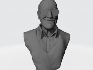 Stan Lee Bust Ready to Print Modello di stampa 3D