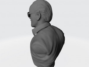 Stan Lee Bust Ready to Print Modello di stampa 3D
