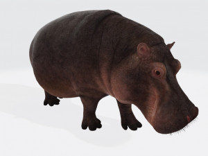 Hippopotamus Animal Ready to Print 3Dプリントモデル