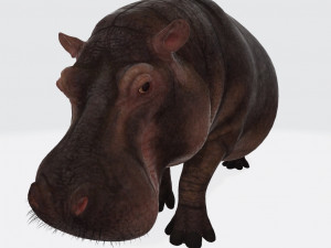 Hippopotamus Animal Ready to Print 3D-printmodel
