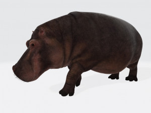 Hippopotamus Animal Ready to Print 3D-printmodel
