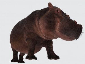 Hippopotamus Animal Ready to Print 3D-printmodel