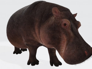 Hippopotamus Animal Ready to Print 3D-printmodel