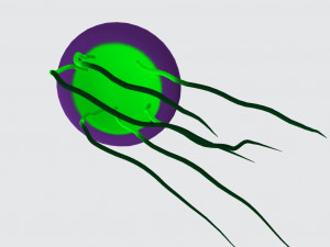 Jelly Fish Ready to Print 3D 프린트 모델