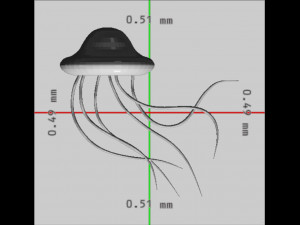 Jelly Fish Ready to Print 3D 프린트 모델