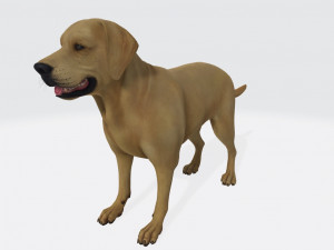Labrador Retriever Dog Ready to Print Model Cetak 3D