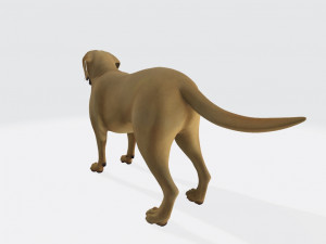 Labrador Retriever Dog Ready to Print Model Cetak 3D