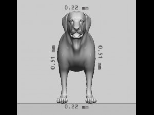 Labrador Retriever Dog Ready to Print Model Cetak 3D
