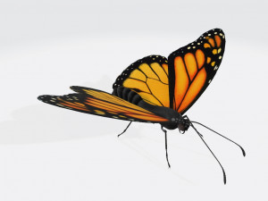 Monarch Butterfly Ready to Print 3D Print Model