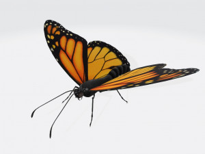 Monarch Butterfly Ready to Print 3D 프린트 모델