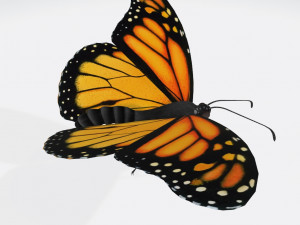 Monarch Butterfly Ready to Print 3D 프린트 모델