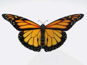 Monarch Butterfly Ready to Print 3D 프린트 모델