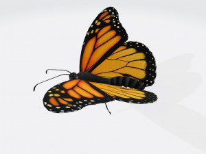 Monarch Butterfly Ready to Print 3D 프린트 모델