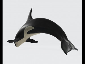 Killer Whale Ready to Print 3D 打印模型