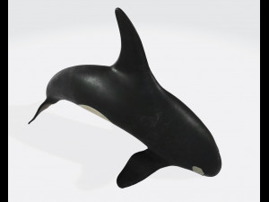 Killer Whale Ready to Print 3D 打印模型