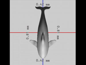 Killer Whale Ready to Print 3D 打印模型