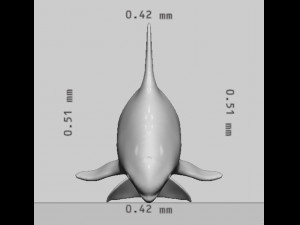 Killer Whale Ready to Print 3D 打印模型
