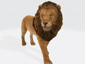 Lion Ready to Print 3D Print Model