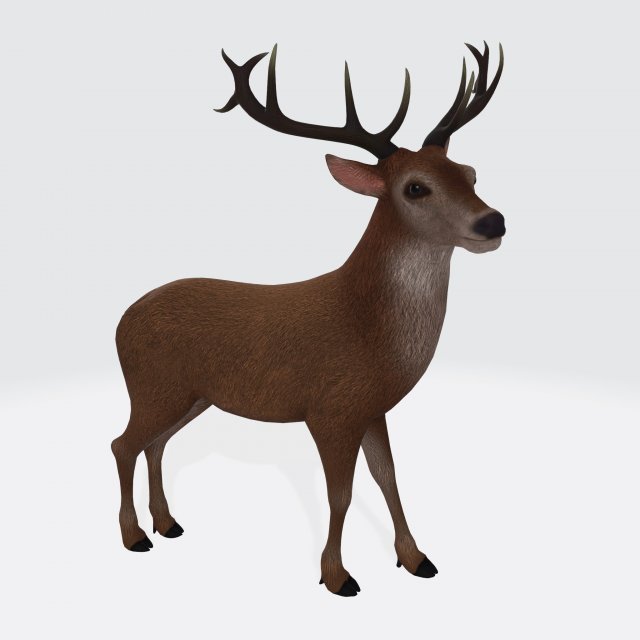 Reindeer Ready to Print 3D Baskı Modeli .c4d .max .obj .3ds .fbx .stl .blend 