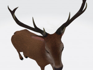 Reindeer Ready to Print 3D Baskı Modeli