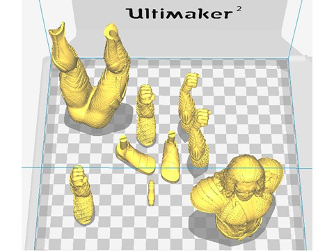 Aquaman Figurines Ready to Print 3D Print Model