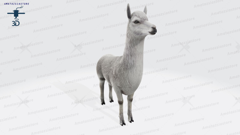 Alpaca Sculptures Ready to Print Modèles 3D en vedette .c4d .max .obj .3ds .fbx .stl .blend 