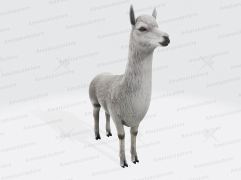 Alpaca Sculptures Ready to Print 3D 打印模型