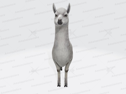 Alpaca Sculptures Ready to Print Modèles 3D en vedette
