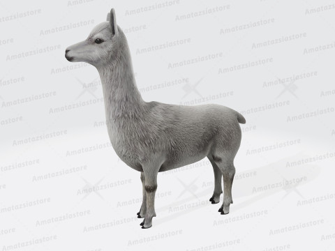 Alpaca Sculptures Ready to Print Modèles 3D en vedette