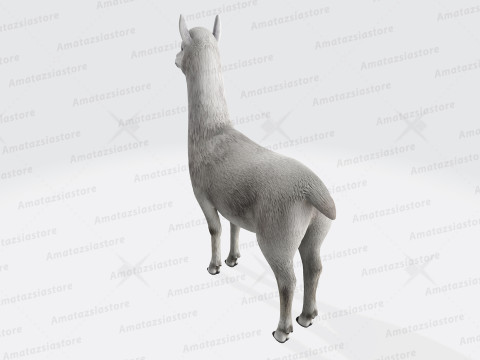 Alpaca Sculptures Ready to Print Modèles 3D en vedette