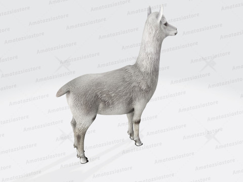 Alpaca Sculptures Ready to Print Modèles 3D en vedette