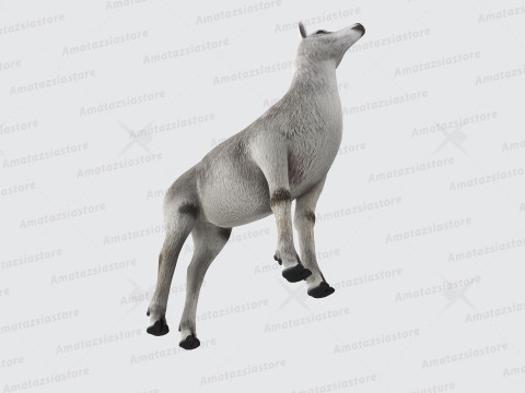 Alpaca Sculptures Ready to Print Modèles 3D en vedette
