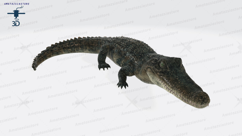 Alligator Sculpture Ready to Print 3D 프린트 모델 .c4d .max .obj .3ds .fbx .stl .blend 