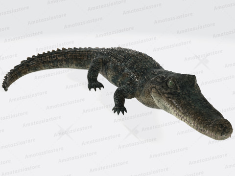 Alligator Sculpture Ready to Print 3D 打印模型