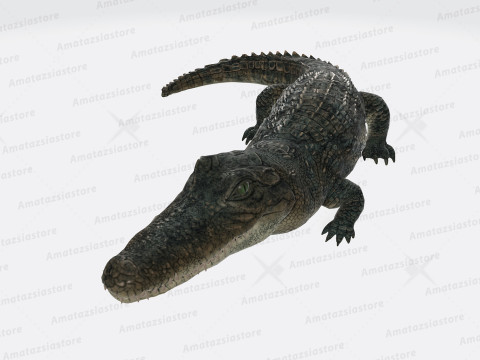 Alligator Sculpture Ready to Print 3D 프린트 모델