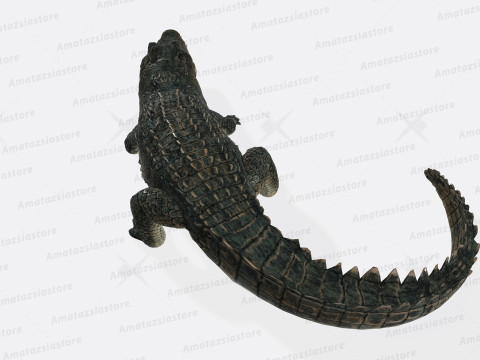 Alligator Sculpture Ready to Print 3D 프린트 모델
