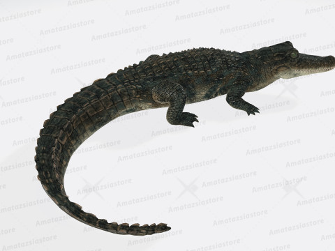 Alligator Sculpture Ready to Print 3D 프린트 모델