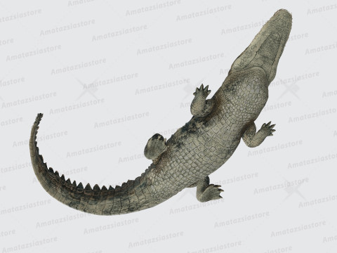 Alligator Sculpture Ready to Print 3D 프린트 모델