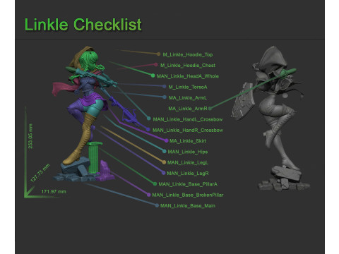 Linkle Hyrule Warriors Ready to Print 3D 打印模型