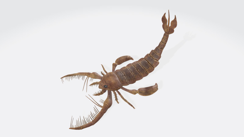 Prehistoric Sea Scorpion Figure for 3D Printing Modelo de Impressão 3D .c4d .max .obj .3ds .fbx .stl .blend