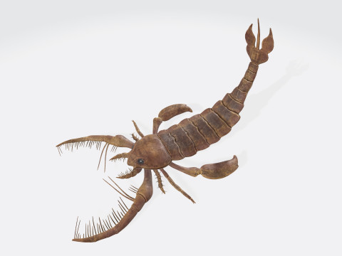 Prehistoric Sea Scorpion Figure for 3D Printing Model Cetak 3D