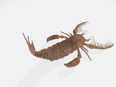 Prehistoric Sea Scorpion Figure for 3D Printing Modelo de Impressão 3D
