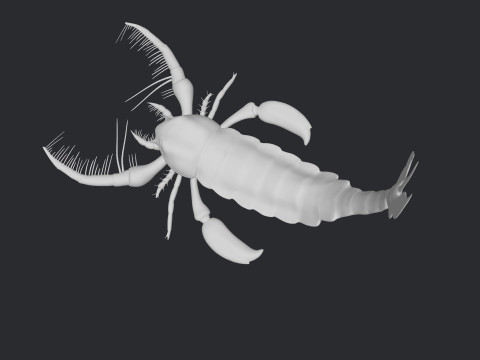 Prehistoric Sea Scorpion Figure for 3D Printing Modelo de Impressão 3D