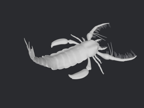 Prehistoric Sea Scorpion Figure for 3D Printing Modelo de Impressão 3D