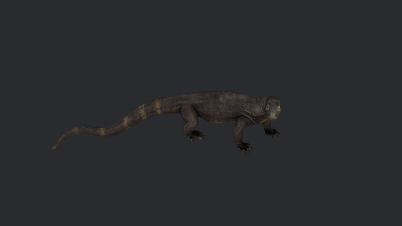 Komodo Dragon Ready to Print Modello di stampa 3D .c4d .max .obj .3ds .fbx .stl .blend