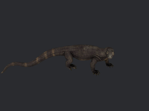 Komodo Dragon Ready to Print Modello di stampa 3D