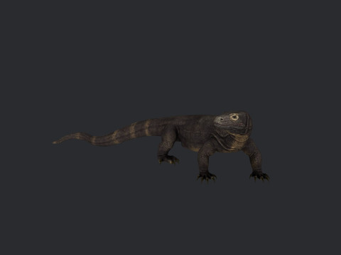 Komodo Dragon Ready to Print Modello di stampa 3D